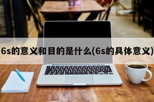 6s的意义和目的是什么(6s的具体意义)